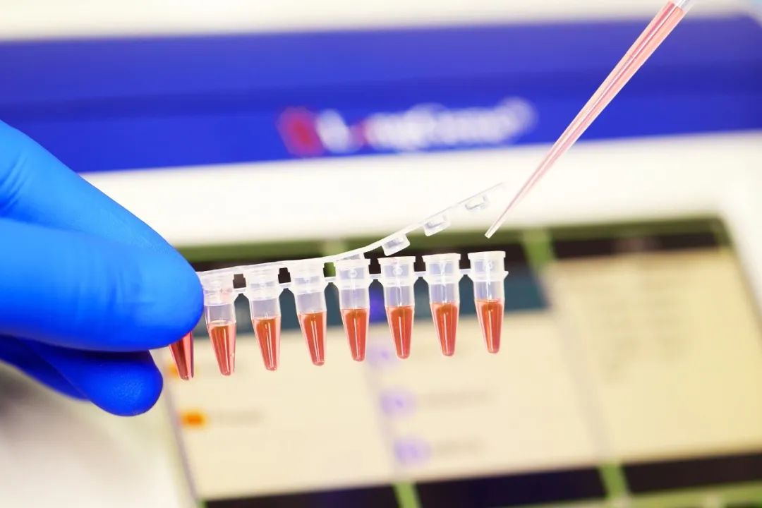 Comment choisir les consommables PCR/qPCR ?